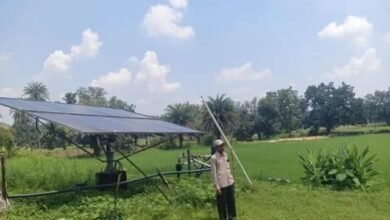 सूरज की ऊर्जा से खेतों में खुशहाली, चरण सिंह की खेती ने पकड़ी नई उड़ान सूरज की ऊर्जा से खेतों में खुशहाली, चरण सिंह की खेती ने पकड़ी नई उड़ान