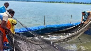 जलाशय बना समृद्धि का जरिया, मत्स्य संपदा योजना से मछुआरों के बदले दिन जलाशय बना समृद्धि का जरिया, मत्स्य संपदा योजना से मछुआरों के बदले दिन
