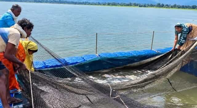 जलाशय बना समृद्धि का जरिया, मत्स्य संपदा योजना से मछुआरों के बदले दिन
