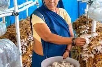 खेतों से मशरूम उत्पादन तक मिथिला दीदी की सफलता, आत्मनिर्भरता की बनी मिसाल