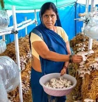 खेतों से मशरूम उत्पादन तक मिथिला दीदी की सफलता, आत्मनिर्भरता की बनी मिसाल