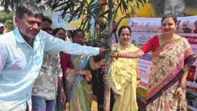 स्वच्छता से हरियाली तक: अहिवारा की पुष्प वाटिका में रोपे गए 250+ पौधे स्वच्छता से हरियाली तक: अहिवारा की पुष्प वाटिका में रोपे गए 250+ पौधे