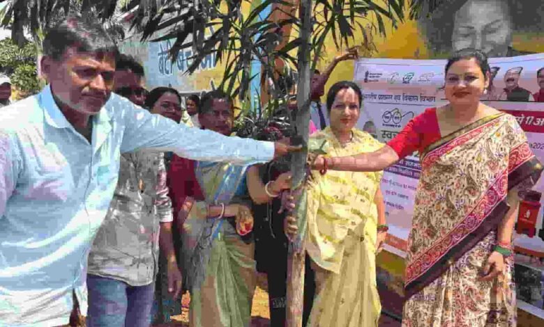 स्वच्छता से हरियाली तक: अहिवारा की पुष्प वाटिका में रोपे गए 250+ पौधे
