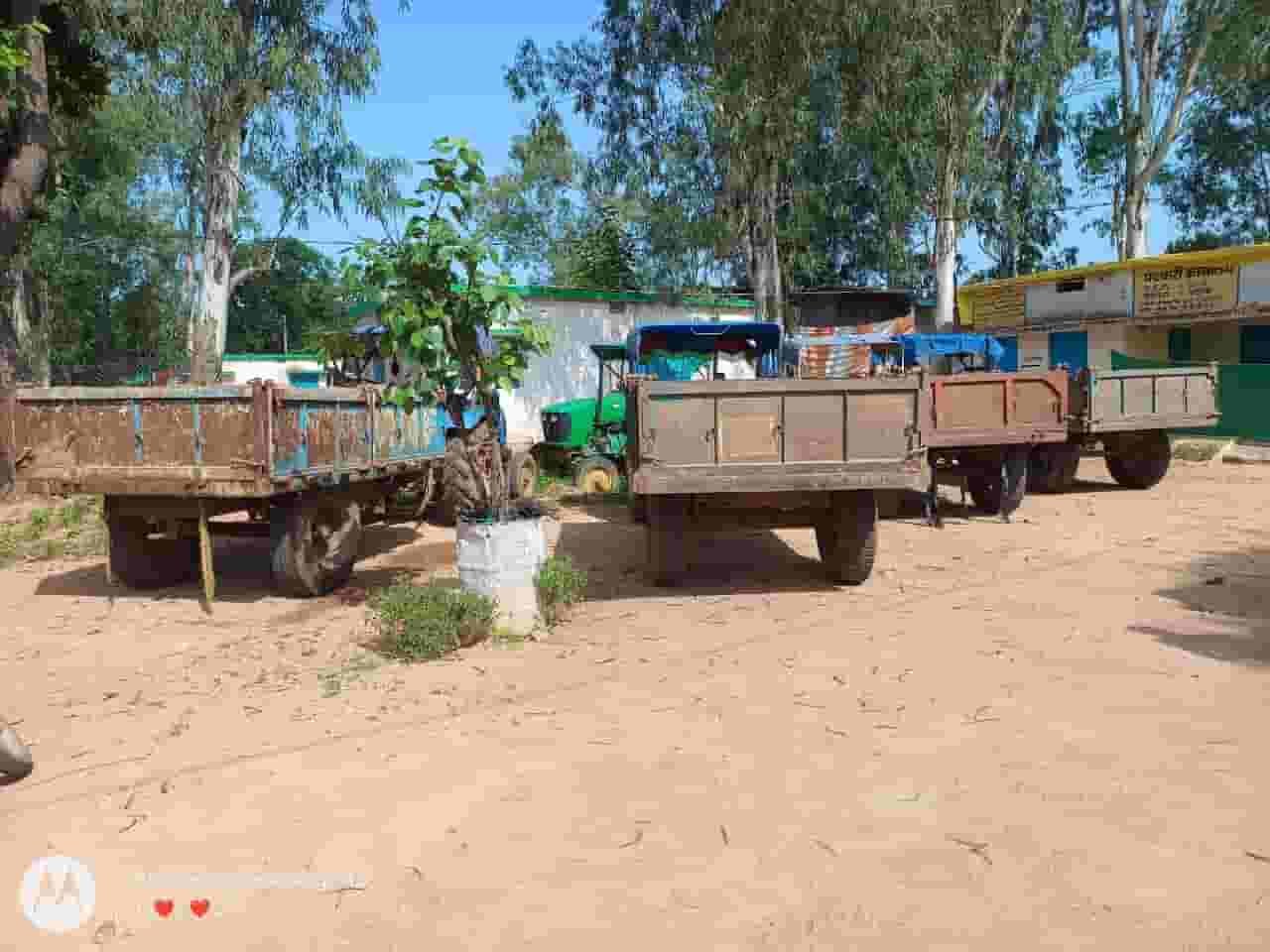 खनिजों की अवैध ढुलाई पर ब्रेक, कार्रवाई में 6 वाहन जब्त