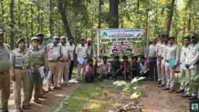 तकनीक भी, सुरक्षा भी—वृक्षों के पातन और लॉगिंग पर कार्यशाला में हुआ नवाचार पर विमर्श तकनीक भी, सुरक्षा भी—वृक्षों के पातन और लॉगिंग पर कार्यशाला में हुआ नवाचार पर विमर्श