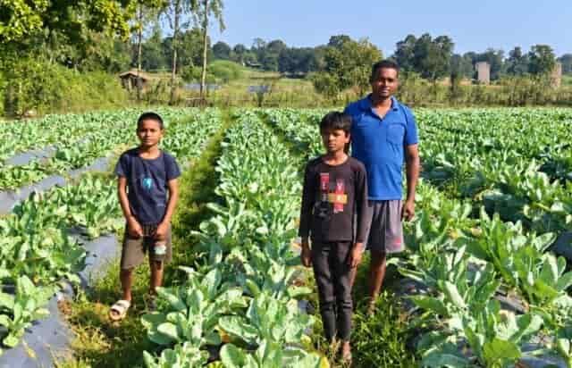 फूलगोभी की खेती से चमकी किस्मत, प्रमोद सिंह ने कमाए 1.50 लाख रुपए
