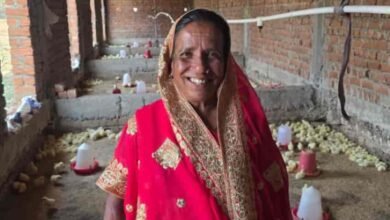 सेवा से संकल्प, संकल्प से बदलाव: जनकल्याण की राह पर छत्तीसगढ़ सेवा से संकल्प, संकल्प से बदलाव: जनकल्याण की राह पर छत्तीसगढ़