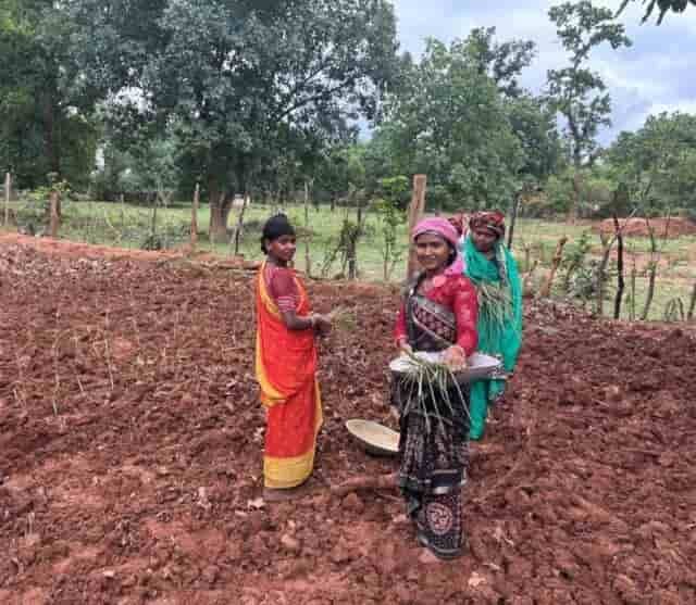 छत्तीसगढ़ में विकास की नई उड़ान, सिंचाई सुविधाओं के विस्तार पर जोर