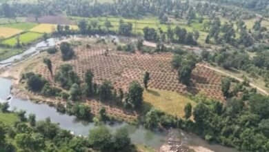 बूंद-बूंद से बदलेगी गांव की तकदीर, ग्राम दर्री में वर्षा जल संचयन की अनूठी पहल