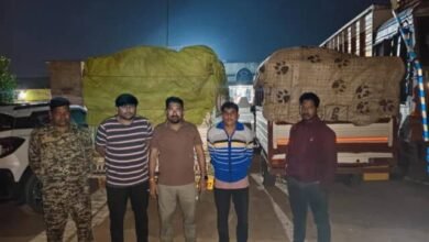धान के अवैध परिवहन पर कार्रवाई, झारखंड से आ रहे दो पिकअप जब्त धान के अवैध परिवहन पर कार्रवाई, झारखंड से आ रहे दो पिकअप जब्त